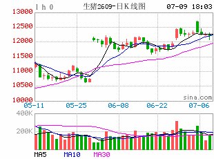 猪价快速反弹:时隔三个月重新站上每公斤10元,下半年走势如何